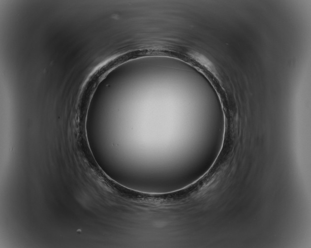 X0000085830971200703231416