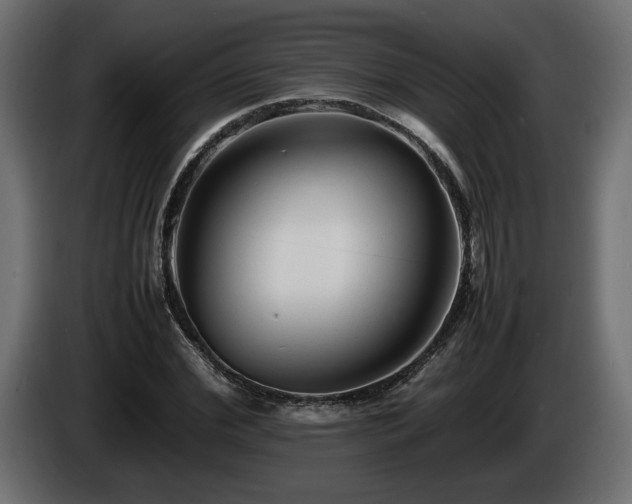 X0000085830972200703231416