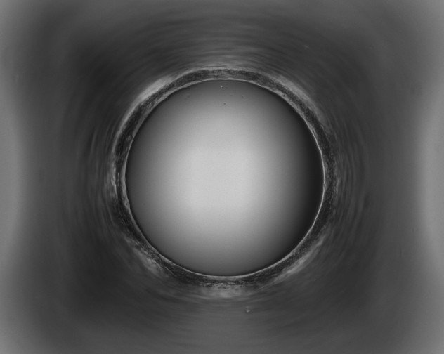 X0000085830974200703231416