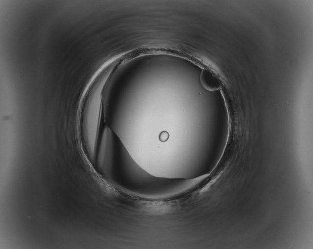 X0000085830976200703231416