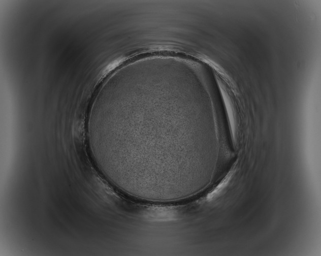 X0000085830977200703231416