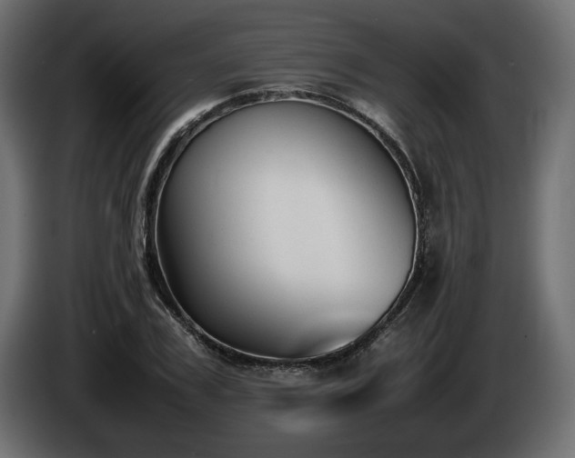 X0000085830979200703231416