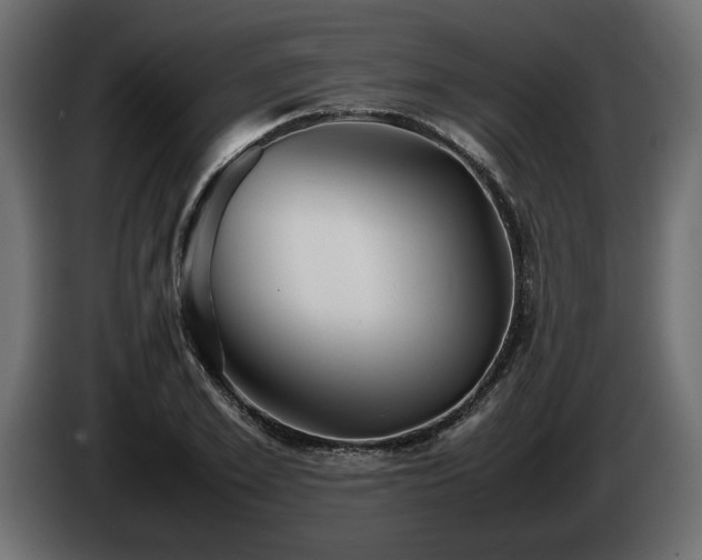 X0000085830981200703231416