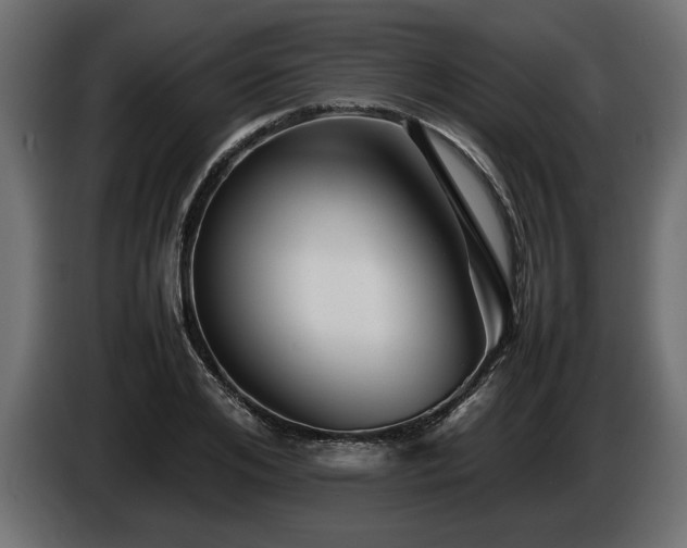 X0000085830984200703231416