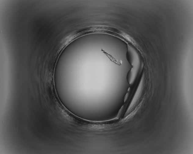 X0000085830985200703231416