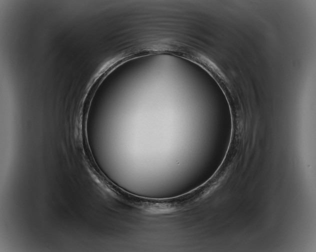 X0000085830986200703231416