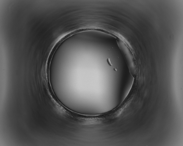 X0000085830988200703231416