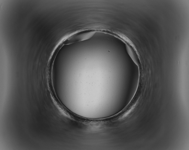 X0000085830989200703231416