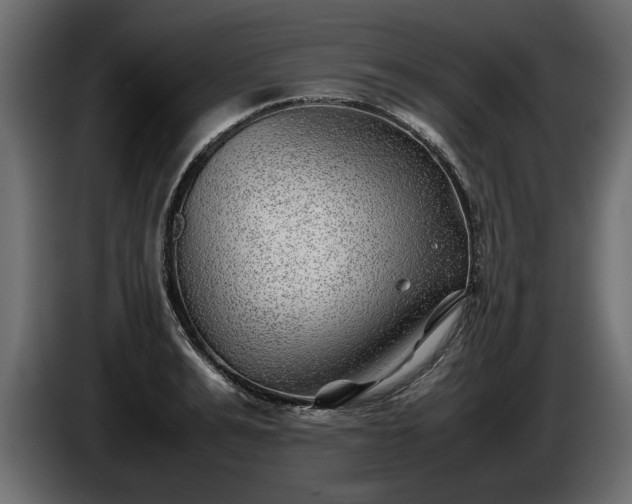 X0000085830991200703231416