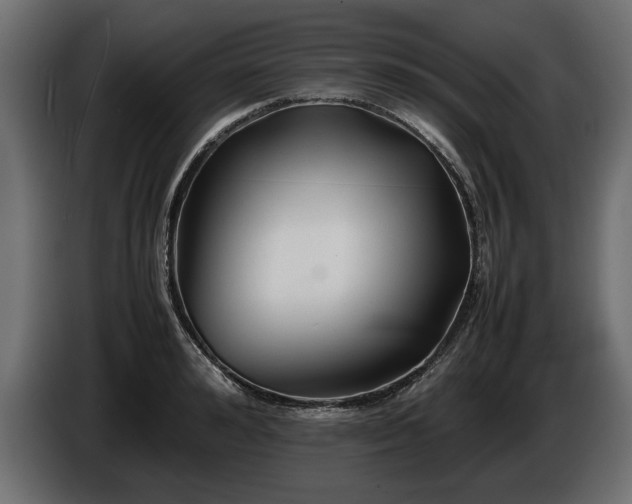 X0000085830992200703231416