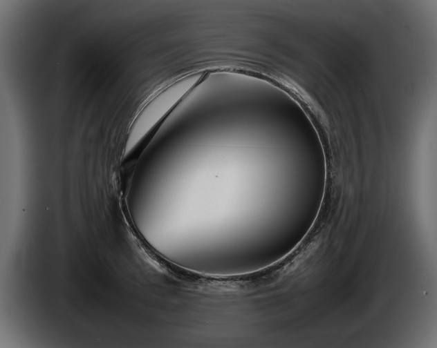 X0000085830993200703231416