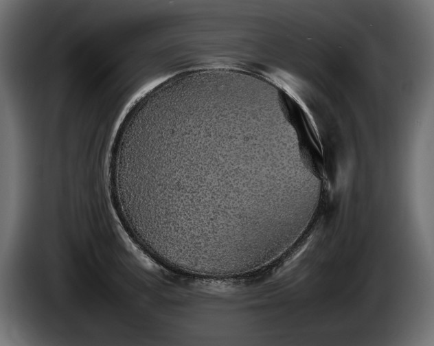 X0000085830995200703231416