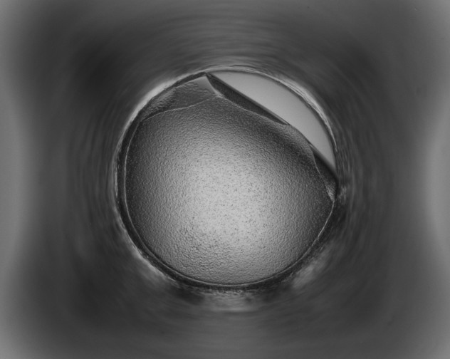 X0000085830999200703231416