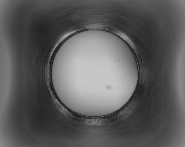 X0000085831000200703231416