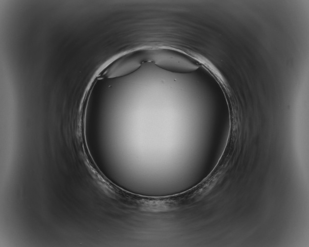 X0000085831004200703231416