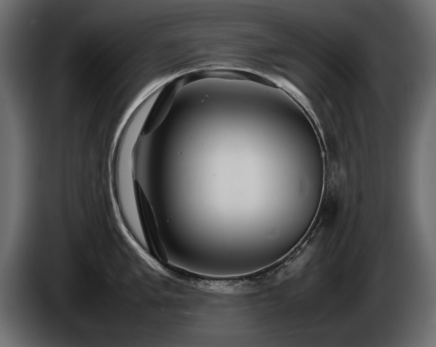 X0000085831005200703231416