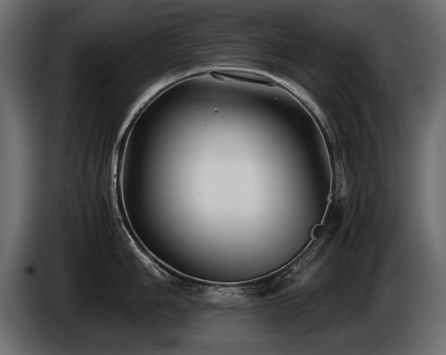 X0000085831006200703231416