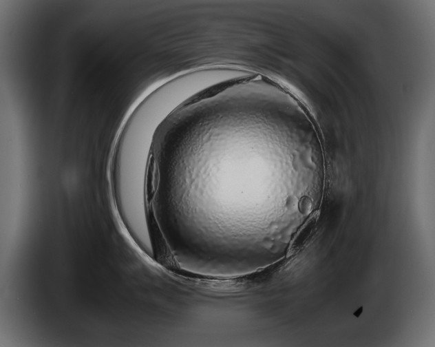 X0000085831007200703231416