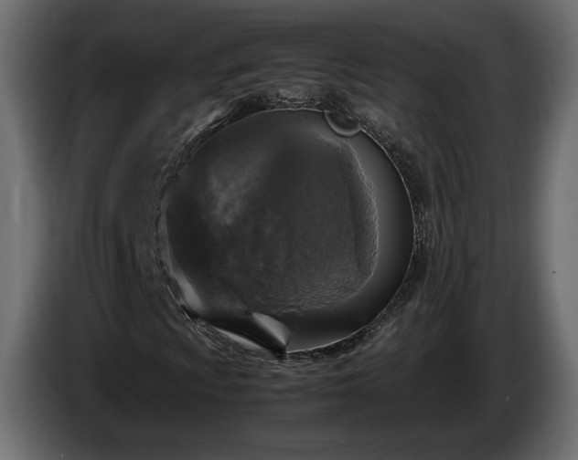 X0000085831009200703231415