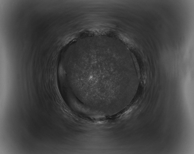 X0000085831010200703231415