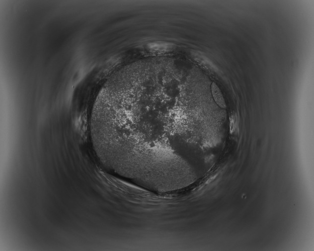 X0000085831011200703231415