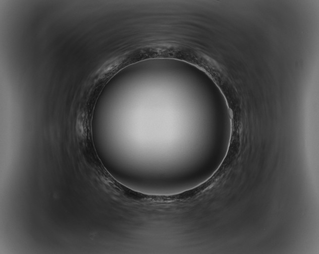 X0000085831014200703231415