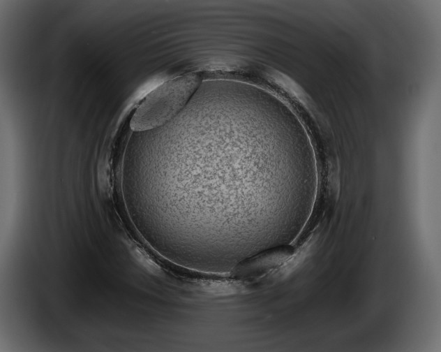 X0000085831018200703231415