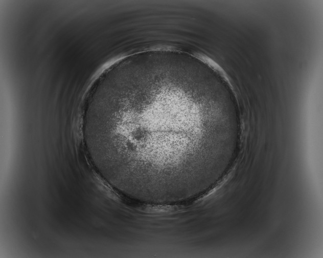 X0000085831019200703231415