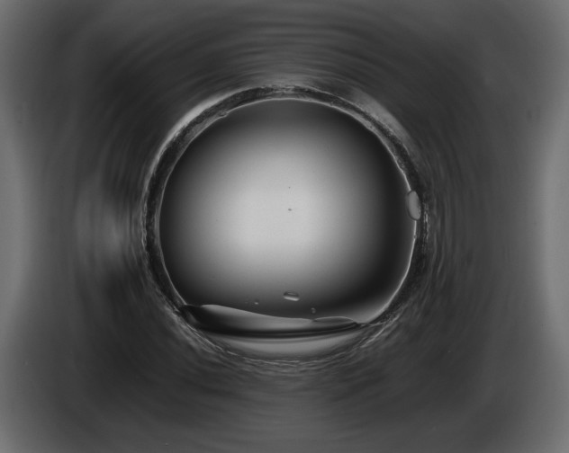 X0000085831020200703231415