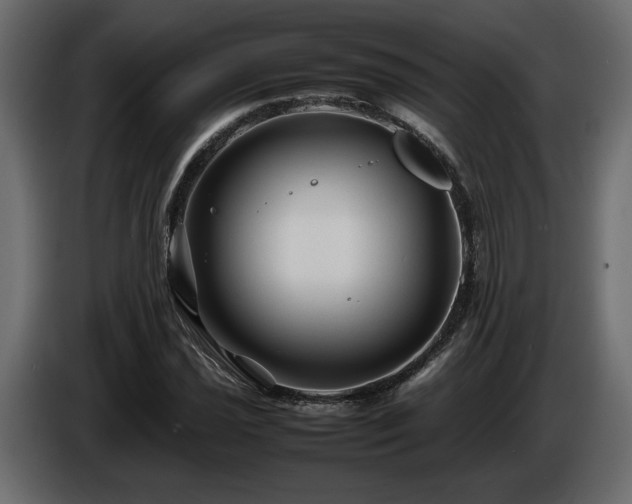 X0000085831021200703231415