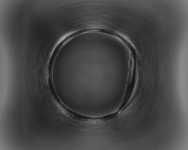 X0000085831024200703231415