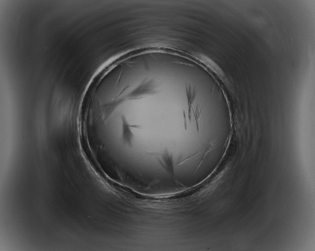 X0000085831028200703231415