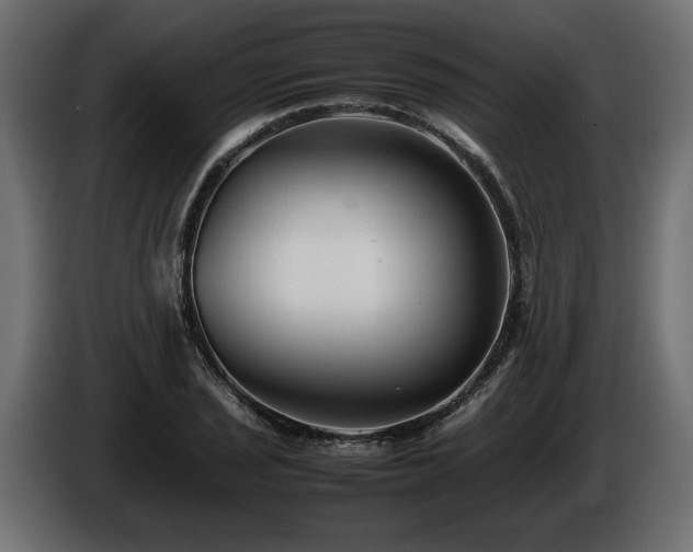 X0000085831029200703231415