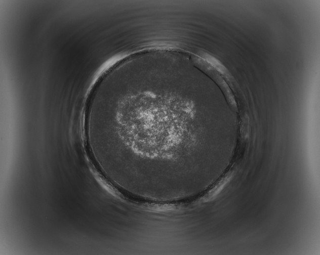 X0000085831030200703231415