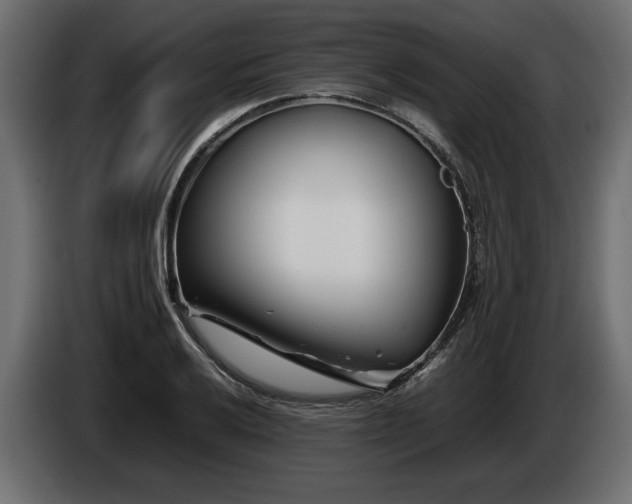 X0000085831032200703231415