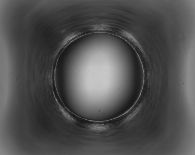 X0000085831033200703231415