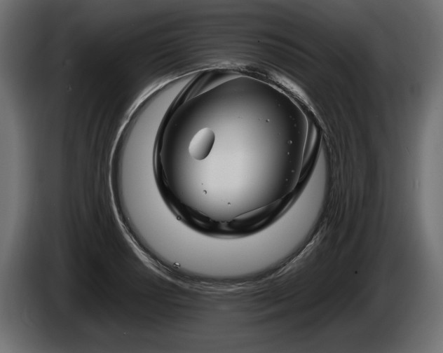 X0000085831034200703231416