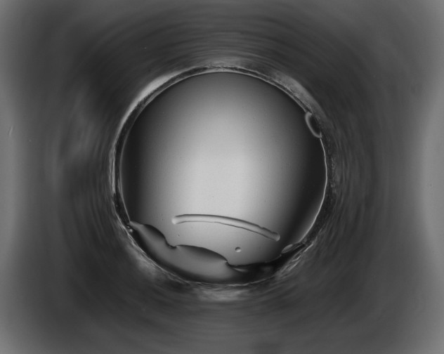 X0000085831036200703231416