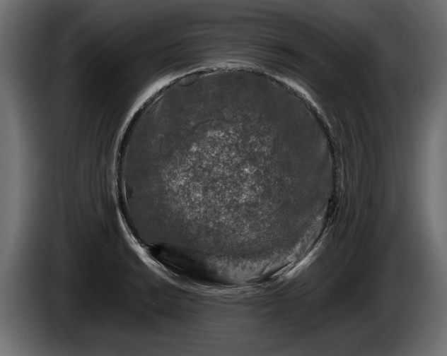 X0000085831038200703231416