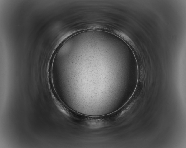 X0000085831039200703231416