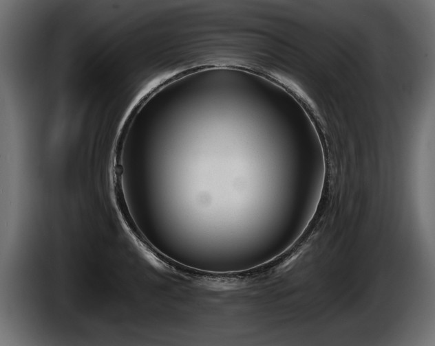 X0000085831040200703231416