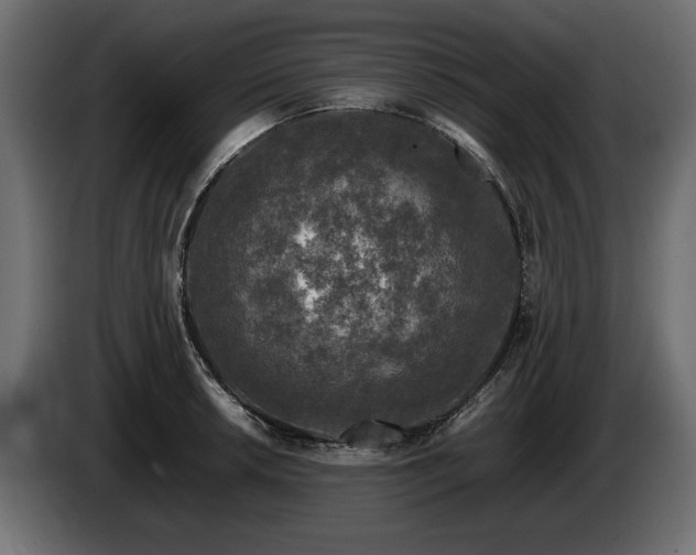 X0000085831042200703231416