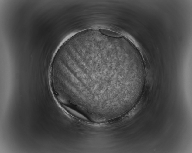 X0000085831048200703231416