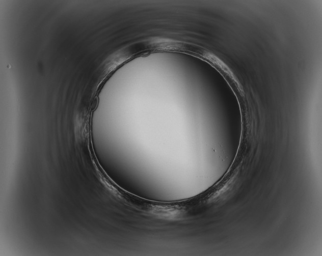 X0000085831049200703231416