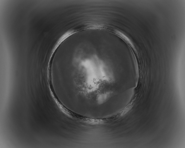 X0000085831050200703231416