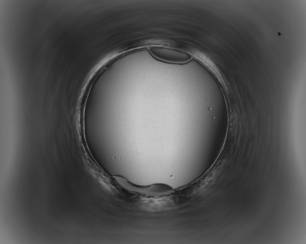 X0000085831051200703231416