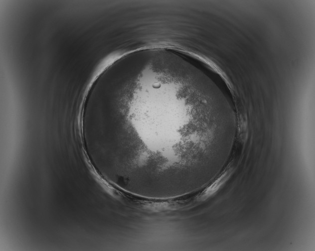 X0000085831054200703231416