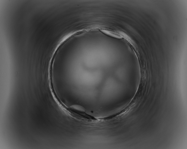 X0000085831055200703231416