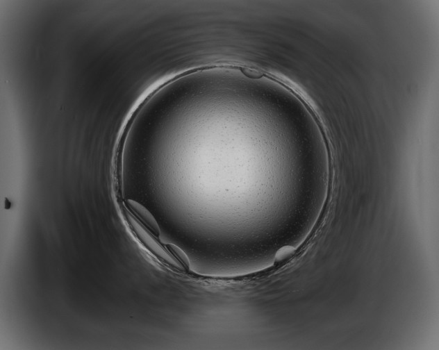 X0000085831056200703231416