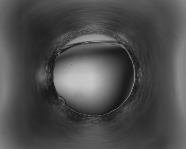 X0000085831062200703231415